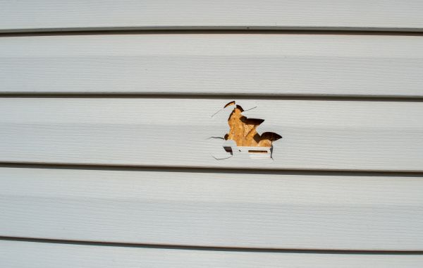 Siding Hole Patching in Marysville