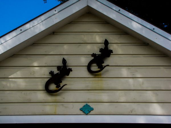 Cost of Shiplap Siding Installation in Marysville