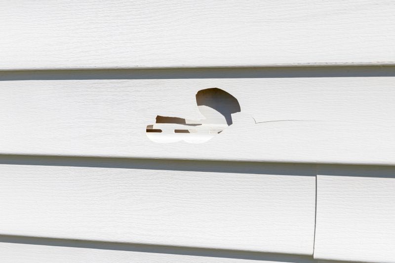 Seamless Vinyl Siding Patch